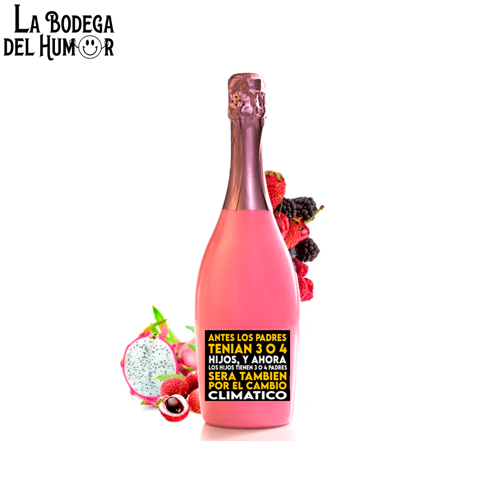 Botella de Champin "Antes los padres tenían 3 o 4 hijos" 750ml