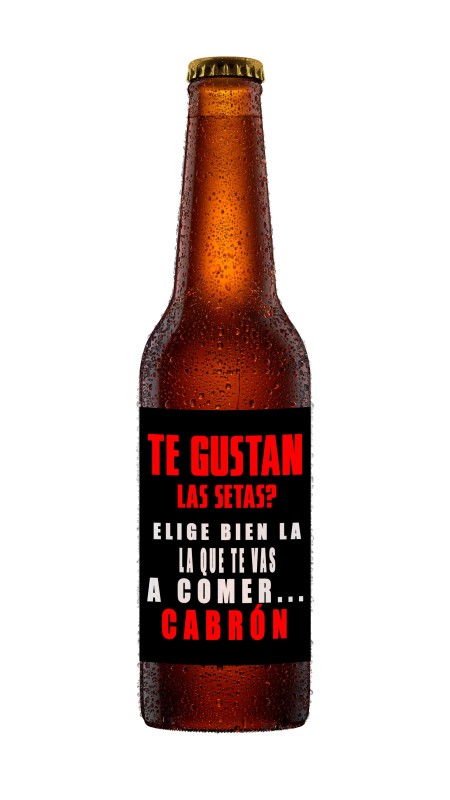 ¿Te gustan las Setas?